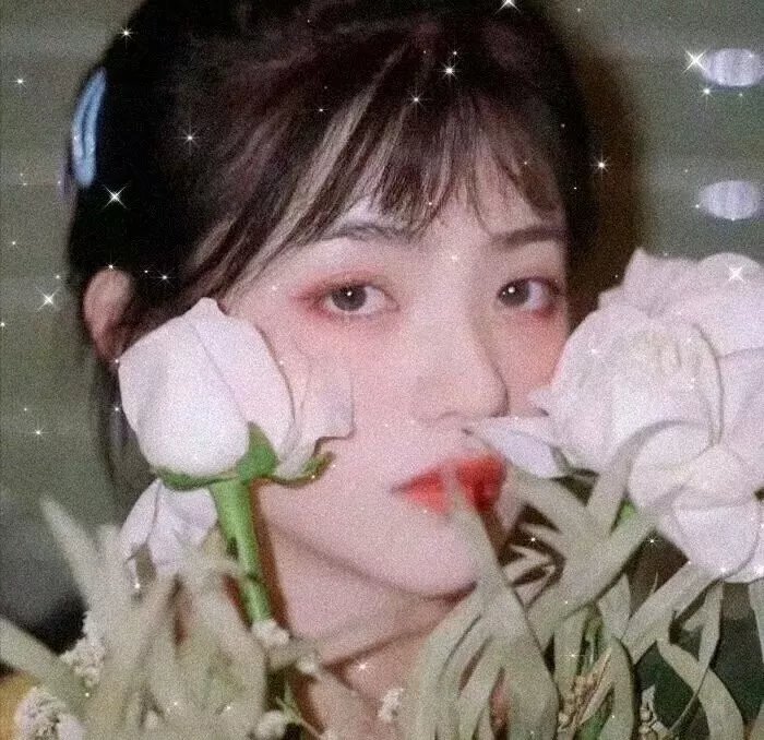 机智的恋爱生活